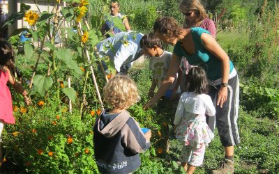 Atelier « Famille au jardin »