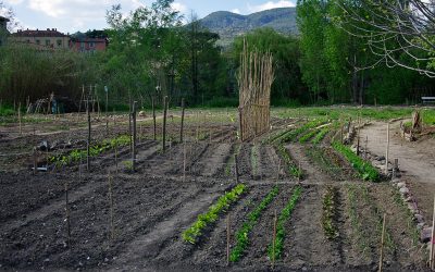 Jardin des Berges