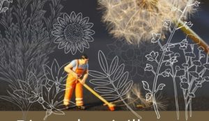 Journée de Travaux d'été @ Jardin des Berges