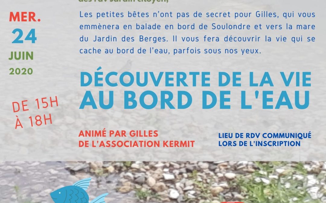 Découverte de la vie au bord de l’eau