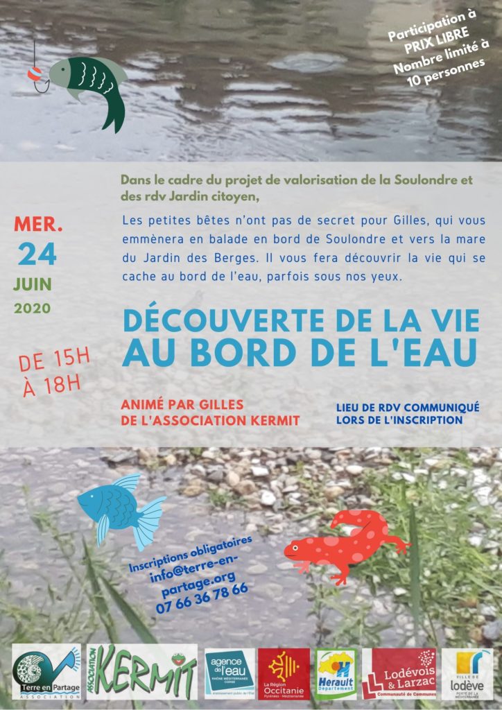 Animation rivière 24 juin