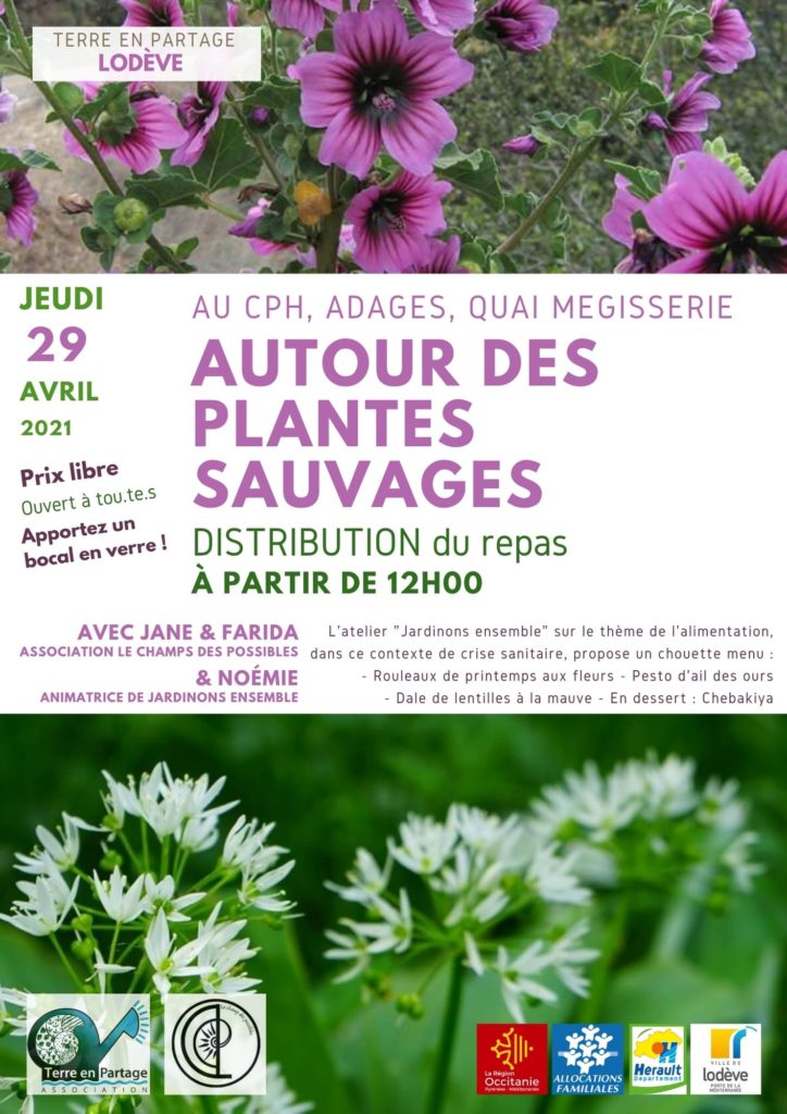repas plantes sauvages lodève