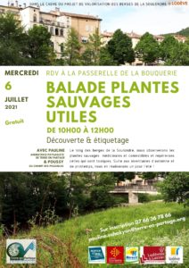 6/07 : Balades plantes médicinales et comestibles @ Passerelle Soulondre