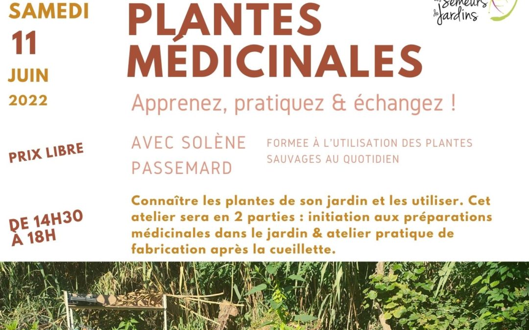 11/06 : Atelier Plantes médicinales