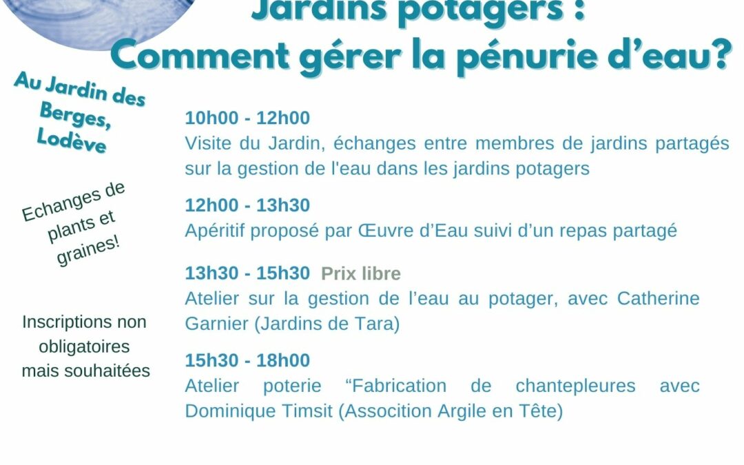 Jardins potagers : Comment gérer la pénurie d’eau?